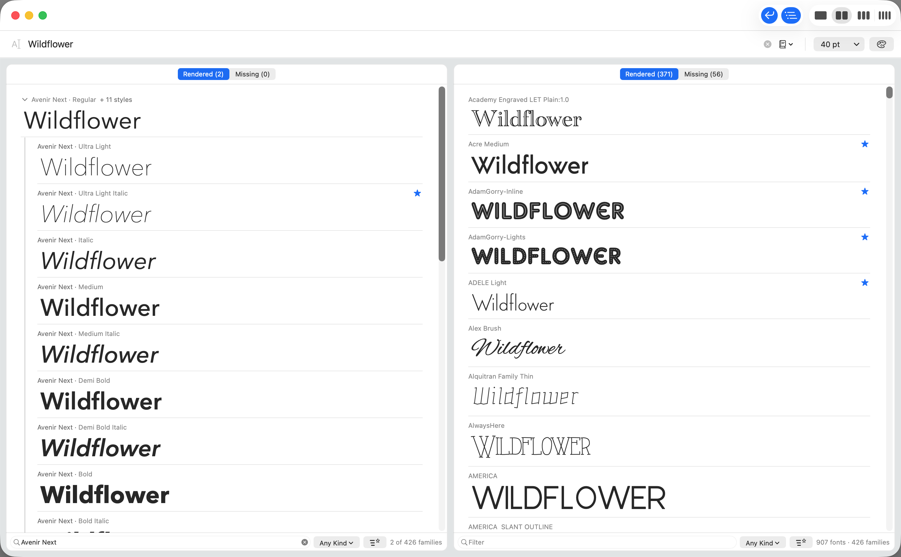 One font family opened to show all twelve of its styles beneath the family row